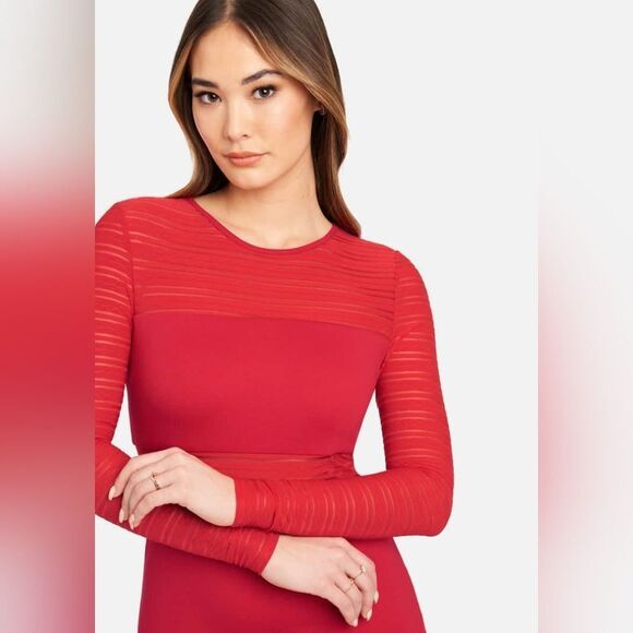 NWT BEBE Long Sleeve Striped Mesh Mini Dress - Picture 7 of 8